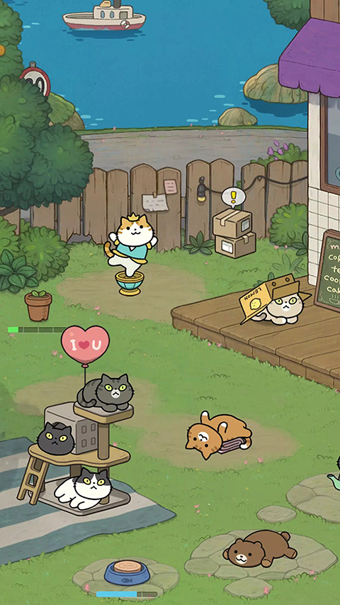 神秘猫咪字典最新版本下载