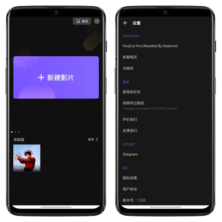 VivaCut下载中文版