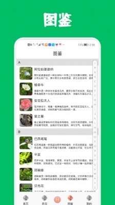 识花养花app