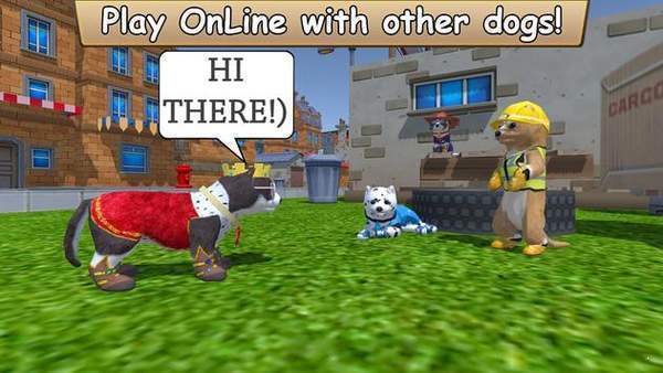 最新的美国ZOOM动物游戏