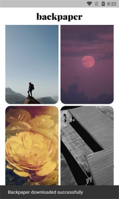 Backpaper官方版下载