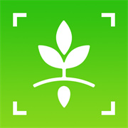 万物识图大师app最新版