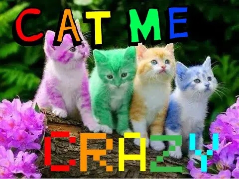 u=3199246592,2978169791&fm=253&fmt=auto&app=138&f=JPG_w=480&h=360.webp.jpg