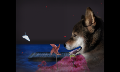 1748914759326721.png 202553015429431530.png