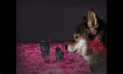 1748914767861165.png 202553015423108200.png