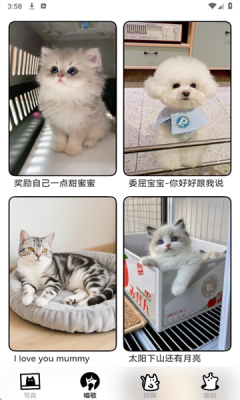 1755499427263111.png 20258161602542640 - 副本.png