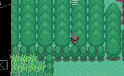 1757407388143877.jpg 091409046nlv.jpg