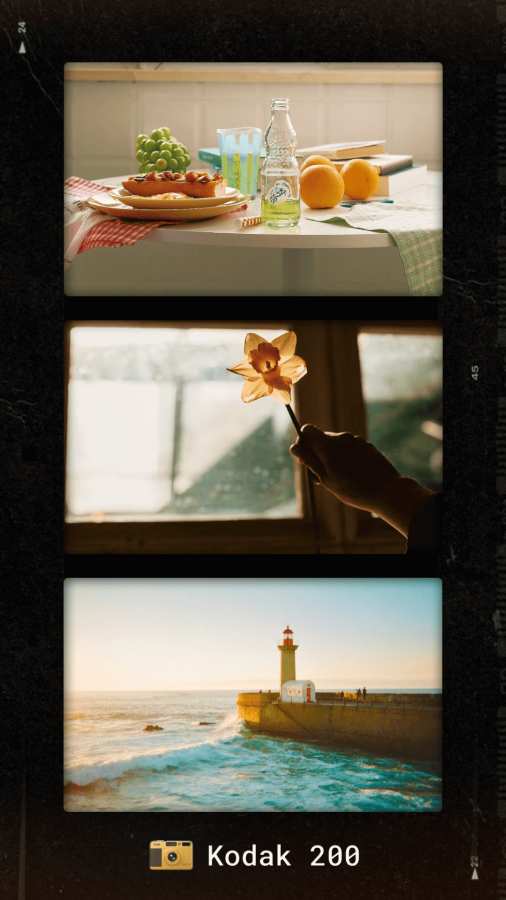 1758081417299678.jpg 7486464_1.jpg