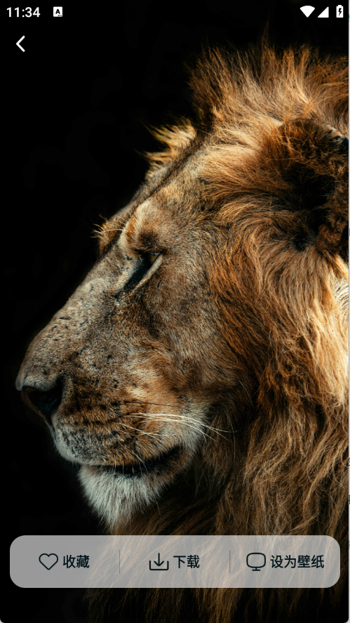 1761112072720855.png 22113437gvmt.png