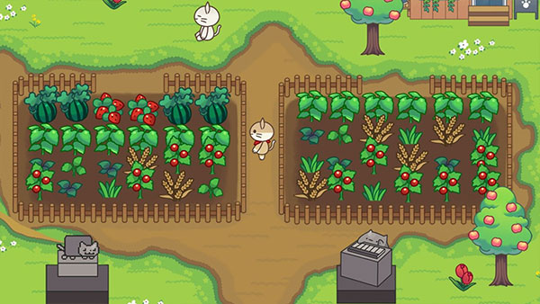 1761549907533488.jpg 26151359c5zk.jpg