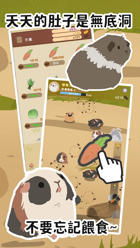 1764835260291177.jpg 03110004a2n2.jpg