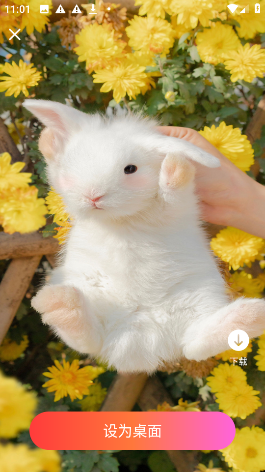 1767063864644258.png 301019018ss7.png