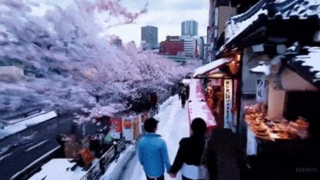 1768033011588626.jpg 26155105xyh4.jpg