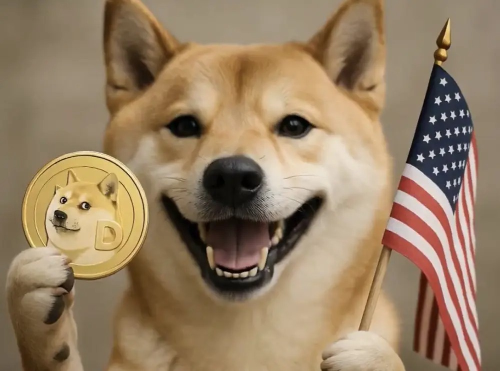 1768787771143670.jpg 狗狗币重燃热潮,Bi.jpg