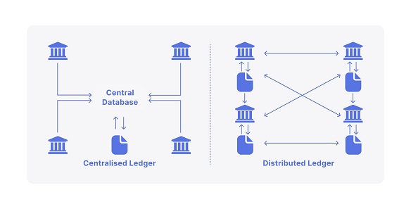 1768961311807245.jpg 6878c2ba4d17eb4446a7d55c_B2BinPa.jpg