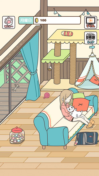 1768967489970793.jpg 21112215rrml.jpg