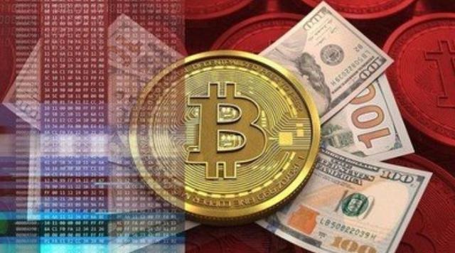 1769584866309671.jpg d833c895d143ad4ba7c08b318e2928a8a50f0603.jpg