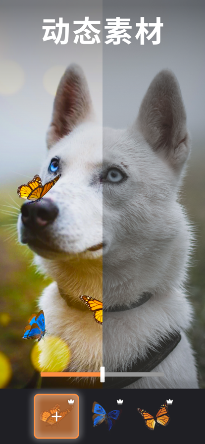 1770876540489909.png 10140238yx00.png