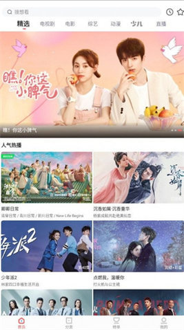 1772498681523762.jpg 271136292nfp.jpg