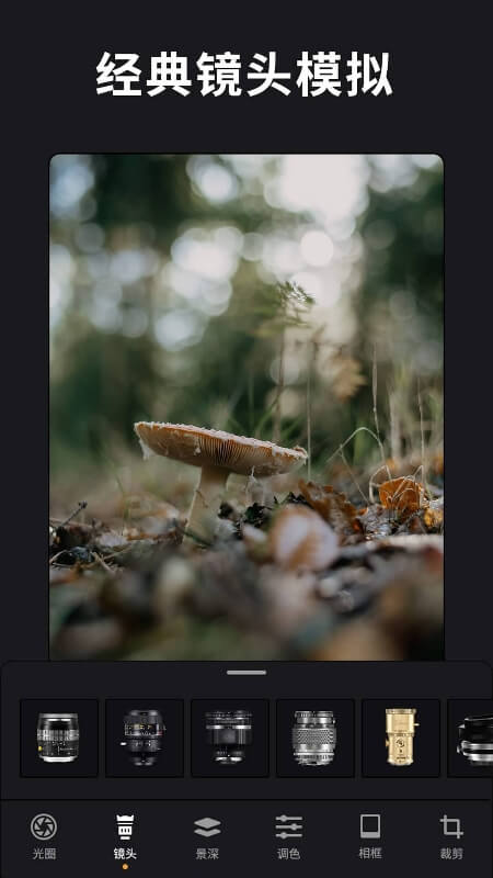 1773193292847043.jpg 202306131530248238.jpg