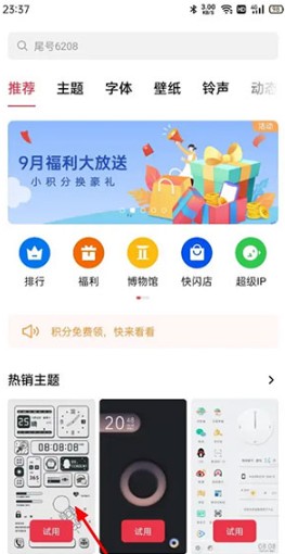 1774494925254333.png 260935424y6f.png