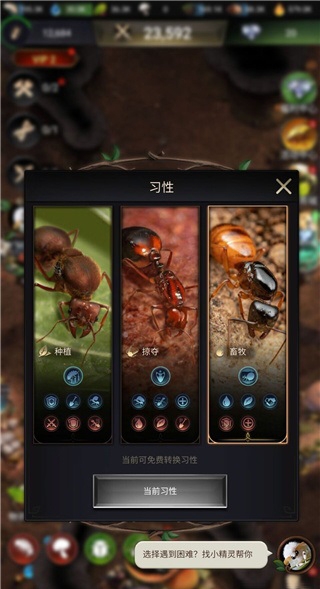 小小蚁国国际服最新版