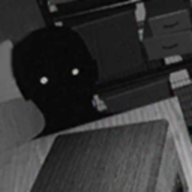 寻找伪人正版下载