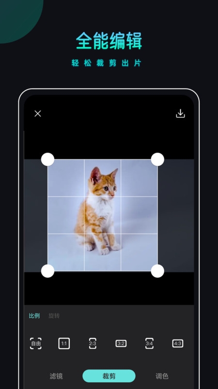 PicsDazz修图水印安卓版下载
