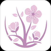 养生菜谱大全100道