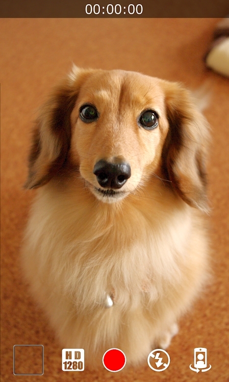 静音相机高级版下载