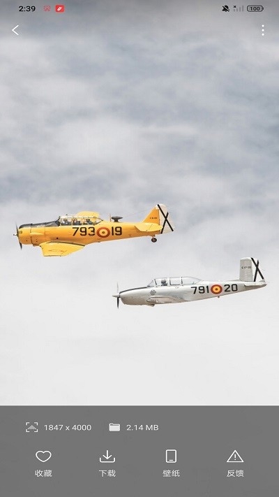 汽水壁纸app下载