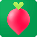 叮咚买菜官网下载安装最新版