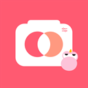 马卡龙抠图免费版下载最新