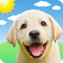 狗狗翻译免费版