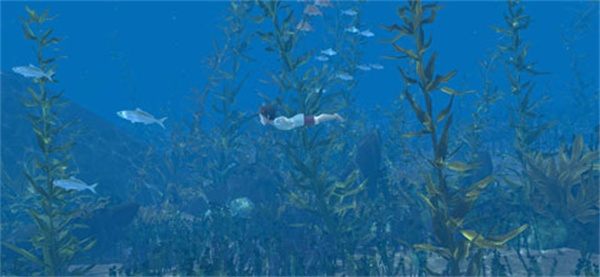 男孩与鹈鹕免费版