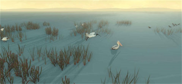 男孩与鹈鹕免费版