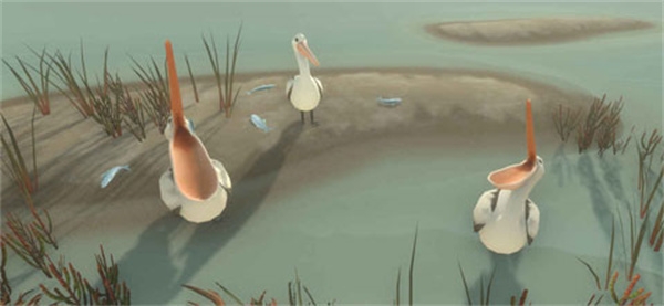 男孩与鹈鹕免费版