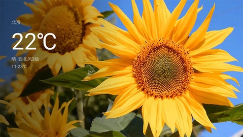 氛围壁纸手机安卓版