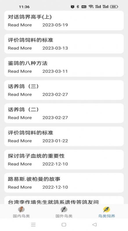 鸭鸭的世界安卓版