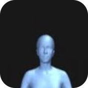 bodyvisualizer在线测试中文版