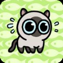 冒险猫正版下载