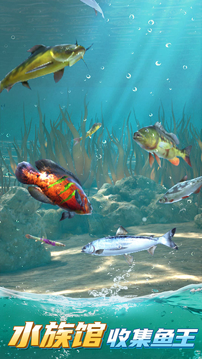 狂野钓鱼2手游官网版下载