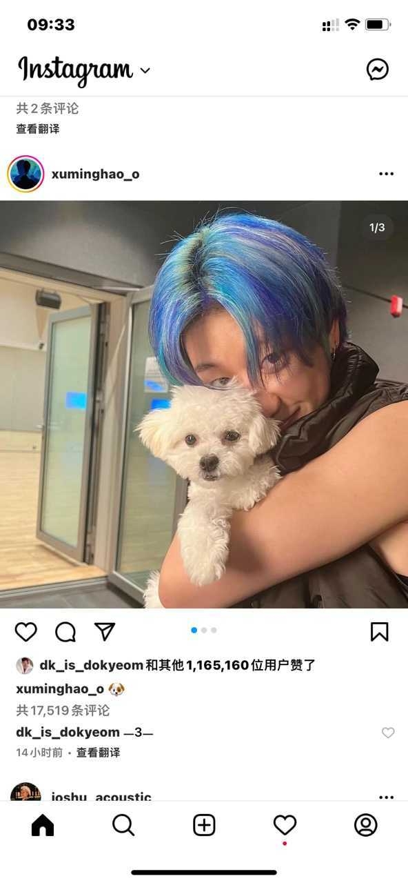 instagram免费下载