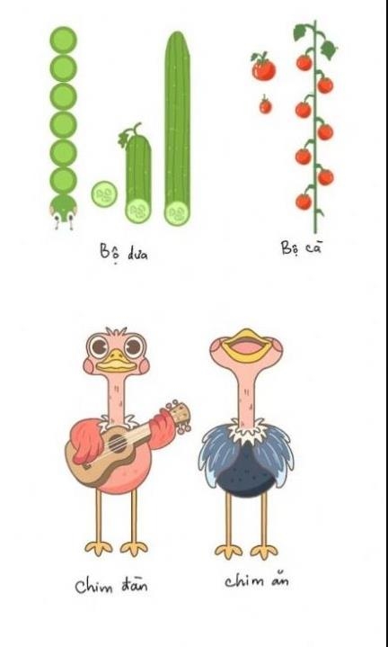 鸟儿二重唱游戏最新版