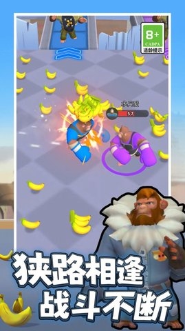 格斗游乐场正版