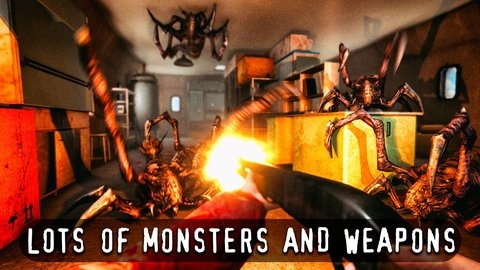 南极洲88手机版