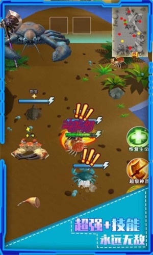 螃蟹之王下载官方