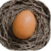 蛋之旅游戏下载