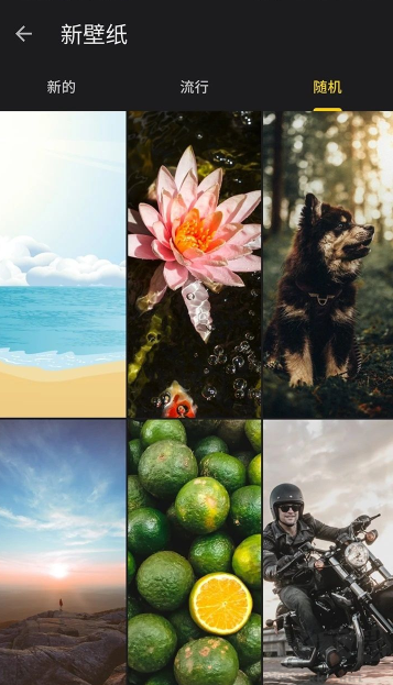 快全全壁纸app下载