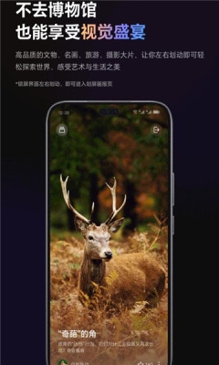 荣耀魔法画报下载安装手机版